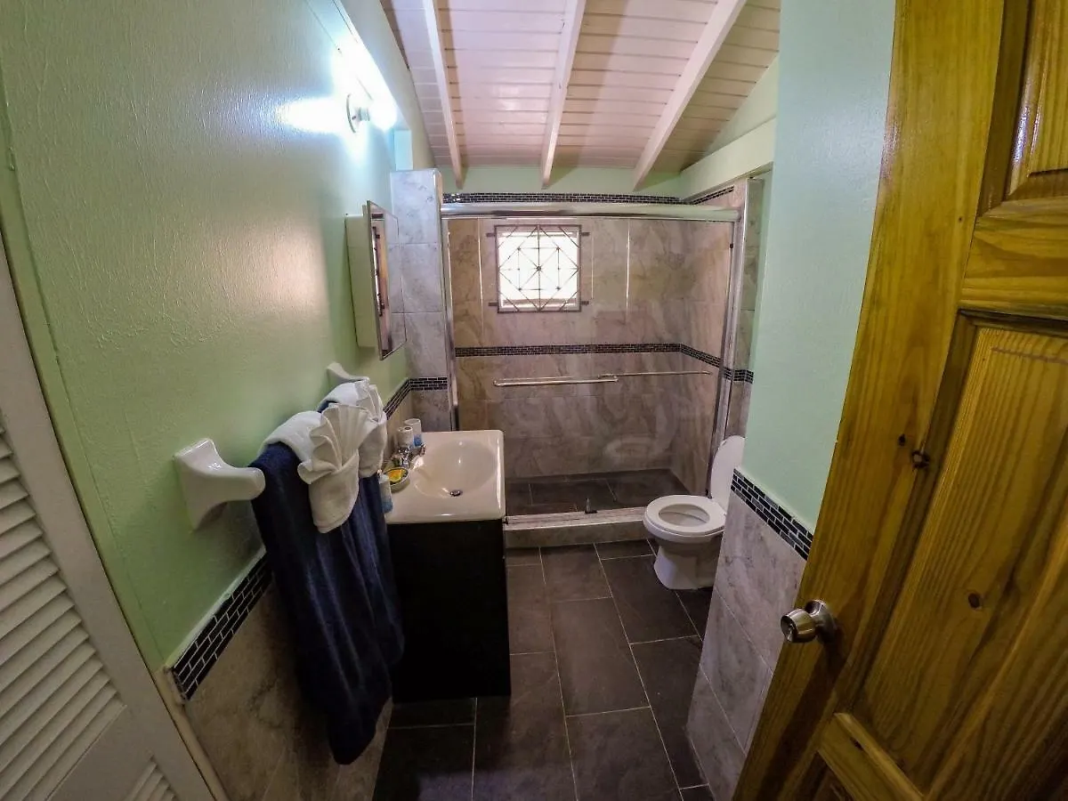Florence Hall Boulevard Holiday Home ג'מייקה